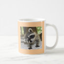 Suche nach baby waschbär haustier tassen Kaffee