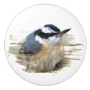 Recherche de oiseau rouge boutons et poignées de porte Animaux