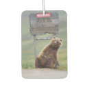 Recherche de ours voiture accessoires Animal
