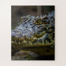Suche nach krokodil puzzle Rätsel