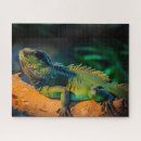 Suche nach reptilen puzzle Iguana