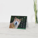 Suche nach shiba inu karten Niedlicher hund
