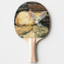 Recherche de dessert raquettes ping pong Faune