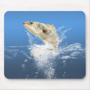 Recherche de pêche sportive tapis souris Basse