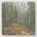 Recherche de birch tree coasters dessous de verres Paysage