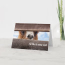 Recherche de prison vœux cartes Drôle