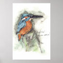 Suche nach eisvogel poster Fischer