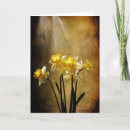 Suche nach narzissen karten Gold