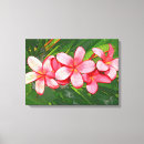 Suche nach frangipani leinwandbilder Blume