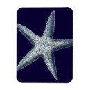 Suche nach muscheln magnete Indigo