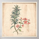 Recherche de la ancienne posters Peinture murale