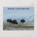 Suche nach amerikanischer büffel postkarten Landschaft