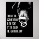 Recherche de combat de chien Pour tous