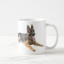 Recherche de allemands tasses Gsd