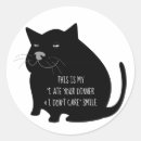 Recherche de sourire de chat autocollants Chatte