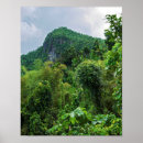 Suche nach el yunque poster Natur