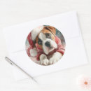 Recherche de boxer autocollants Chien mignon