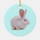 Recherche de de lapin de pâques ornements Animal