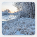 Recherche de cristaux de glace autocollants Congelé