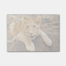 Recherche de hurlement photographie Animal