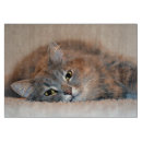 Recherche de chat gris planches à découper Pour tous