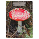 Suche nach der wald klemmbrett Superstock