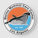 Recherche de mammifère marin horloges Océan