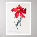 Suche nach ehret poster Pre 19th