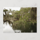 Recherche de blues cartes postales Photographe