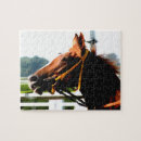 Recherche de cheval de course puzzles Équestre