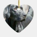 Suche nach schwarze herzen ornamente Labrador retriever