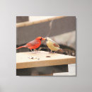 Suche nach singvögel leinwandbilder Wildtiere