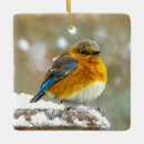 Recherche de chant de noël photographie Neige
