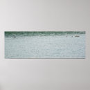 Suche nach lebendes wasser poster Vögel