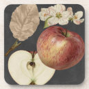 Recherche de nourriture dessous de verres Fruit