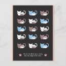 Recherche de drôle chat cartes postales Chatons