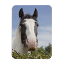 Recherche de tête de cheval magnets Vertical