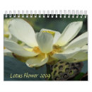 Recherche de lotus bureau fournitures Fleur