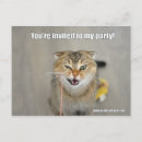 Recherche de chat fou invitations Amusant