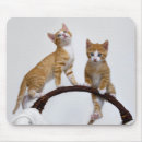 Suche nach photo mousepads Cute
