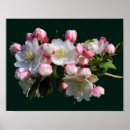 Suche nach frohe poster Blumenreich