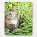Suche nach hübsche katzen mousepads Niedlich