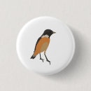 Recherche de colibri badges Coloré