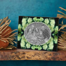 Suche nach wild fotoplatten Blume