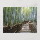 Recherche de bambous cartes postales Photographie