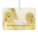 Recherche de canard voiture accessoires Toute personne
