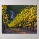 Suche nach adelaide poster Stralia