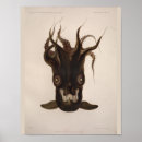 Recherche de vampire vintage posters Noir