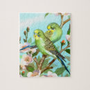 Suche nach budgerigars Haustier
