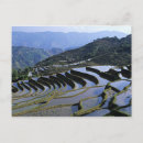 Suche nach yunnan postkarten Landwirtschaft